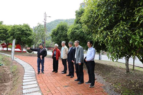 20230416_博物馆专家到横店现场考察_横店CCM_冯立昇_祁庆国_孙显斌_姜玉平_司宏伟_臧根林_参观共享田园_20